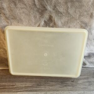 Vintage Tupperware Container